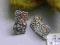 SUPER OKAZJA!  kolczyki srebne :)