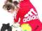 ADIDOG bluza dla psa różne rozmiary KOLORY roz.XXL
