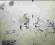 LABORATORIUM - AQUARIUM LIVE 1977 LABORATORIUM - AQUARIUM LIVE 1977