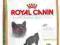 Royal Canin BRITISH SHORTHAIR 34 2kg