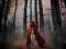 RED RIDING HOOD - Plakat Plakaty PGB-FP2541