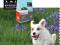 ACANA PUPPY SMALL BRED 18KG +2,5KG +20 GRATISÓW!!!