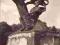 WARSZAWA- POMNIK FRYDERYKA CHOPINA [10070]