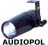 AMERICAN DJ Pinspot LED oświetlacz ADJ FV/GW w24h
