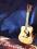 T.Burton Gitara12-srunowa z L.R. BAGGS OKAZJA!!!