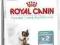 Royal Canin Intense Hairball 4kg - kule włosowe