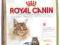 Royal Canin Maine Coon 31 ADULT - 4kg