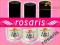 rosaris - 2in1 COAT 15ml *PODKŁAD I NABŁYSZCZACZ