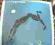 STEVE WINWOOD - ARC OF A DIVER