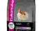 EUKANUBA ADULT SMALL BREED 1 KG+1 KG GRATIS