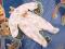 LADYBIRD DISNEY spioszki polar PUCHATEK r.68 c21d