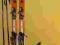 NARTY ROSSIGNOL RADICAL JR120cm+ BUTY STAN BDB!!