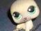 Littlest pet shop LPS foka foczka