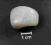 Opal mleczny naturalny bębnówka      2301d