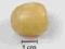 Kalcyt żółty naturalny bębnówka      2301a