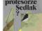 SKĄD TEN BLASK PROFESORZE SEDLAK DYMEL (ENIMA)