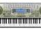 CASIO WK 3300 Keyboard