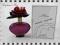 MARC JACOBS LOLA 100ml EDP WOMAN F-VAT Perfum4You