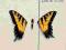 paramore brand new eyes cd album