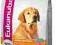 EUKANUBA GOLDEN RETRIEVER 12 KG + 20 GRATISÓW