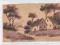 " drewniana " pocztówka ok.1904