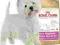 Royal Canin West highland terrier adult 1kg