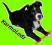 ROYAL CANIN MAXI ADULT 15+3KG+FRISBEE GRATIS