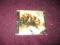 Pagan Blood  The Last Empire NSBM RAC ABSURD