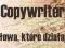 COPYWRITER Psycholog PISANIE TEKSTÓW copywriting