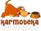 PURINA DOG CHOW ADULT MIX MIĘSNY 15kg + 1kg GRATIS