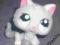 Littlest pet shop LPS figurka kot kotek