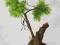 bonsai zokei sztuczne drzewko 50cm !!!!ozdoba domu