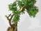 bonsai zokei sztuczne drzewko 60cm !!!!ozdoba domu