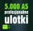 profesjonalne ULOTKI 5000 A5 2str. kolorowe+GRATIS