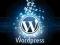 Instalacja wordpress | od FIRMY
