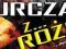 KURCZAK Z ROŻNA banner 2,5m/1m MEGA HIT