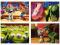 Karty kolekcjonerskie - Toy Story