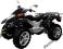 Pojazd samochodowy inny - QUAD - ATV