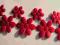 15+15=30 Bardzo dużo czerwonych kwiatków!! TANIO