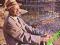 Horace Silver Song For My Father remastered (od SS