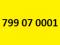 ZŁOTY NUMER  799 07 0001