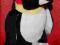 PINGWINEK pingwin z magnesami 15cm BDB!!!