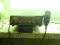ALAN 87 CB RADIO BAZOWE + MIKROFON ZE WZMOCNIENIEM