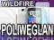 Folia POLIWĘGLAN 3MK =  HTC WILDFIRE  = Jakość!