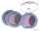 NIVEA BEAUTE CREATIVE EYES - CIENIE DO POWIEK 13