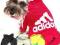 ADIDOG bluza dla psa różne rozmiary KOLORY roz. XL