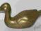 Kaczka cyranka mosiądź