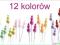 SZPILKI DEKORACYJNE 9,5cm PEREŁKA 70szt 12Kolorów