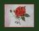 Róża 30x25 cm haft krzyzykowy do oprawy