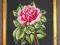 Róża-haft krzyżykowy,obrazek